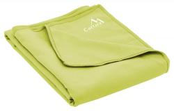 Cattara Ručník BEACH 80x180cm zelený (VÝPRODEJ)