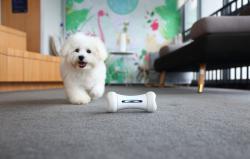 Cheerble Interaktivní hračka pro psy Wickedbone