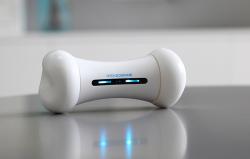 Cheerble Interaktivní hračka pro psy Wickedbone