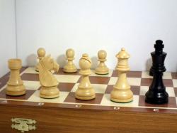 Chopra Šachy Staunton Senator Intarsie de Luxe s ebenovými figurami (AKČNÍ CENA)