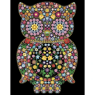 Colorvelvet Sametový obrázek Sova 50x70cm