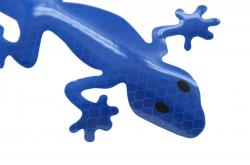 Compass Dekor samolepící GECKO modrý
