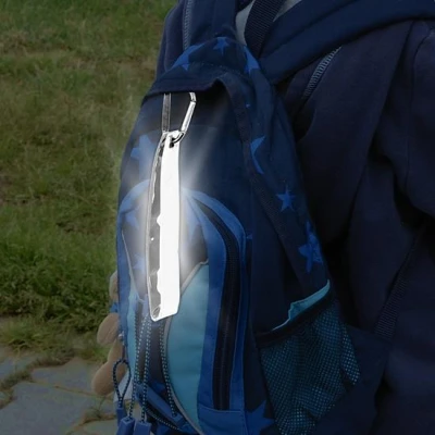 Compass Přívěšek s karabinou reflexní S.O.R. stříbrný