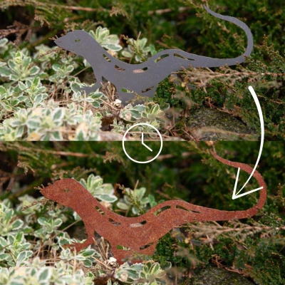 CORGARDEN zahradní dekorace ještěrka 23 x 15 cm, corten