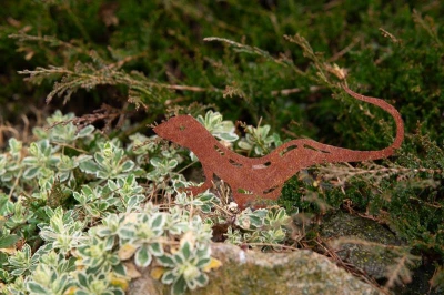 CORGARDEN zahradní dekorace ještěrka 23 x 15 cm, corten