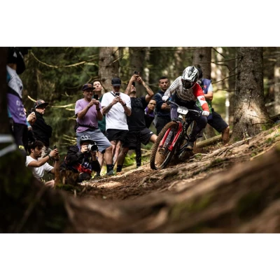 Crankbrothers Stamp Trail BOA Black/Gold + sleva 400,- na příslušenství