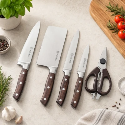 Cs Solingen Sada nožů ve stojanu 6 ks PREMIUM