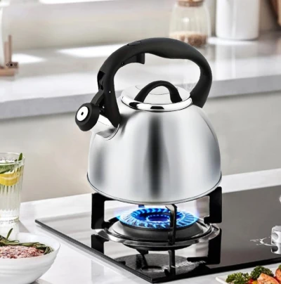 Cs Solingen Konvice pískací nerez Bonn 2,5 l