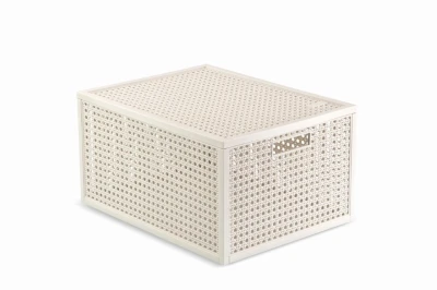 Curver Box Kaya M s víkem béžový