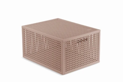 Curver Box Kaya M s víkem pudrový