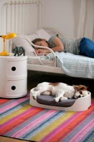 Curver Pelech Bunkbed 3 v 1 cappuccino