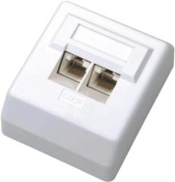 DATACOM Datová zásuvka UTP CAT6 2xRJ45 na omítku 45st. bílá DATACOM Datová zásuvka UTP CAT6 2xRJ45 na omítku 45st. bílá