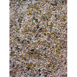 Deli Nature Birdelicious Andulka 800 g