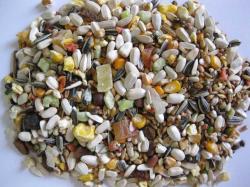 Deli Nature Premium Parrots velký papoušek 800 g