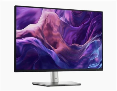Dell Professional P2425HE 24" WLED/FHD/5ms/HDMI/DP/VGA/USB-C/DOCK/RJ45/IPS/cerny