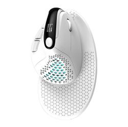 Delux Bezdrátová ergonomická myš M618XSD BT+2.4G RGB (bílá)
