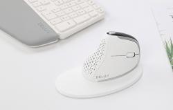 Delux Bezdrátová ergonomická myš M618XSD BT+2.4G RGB (bílá)