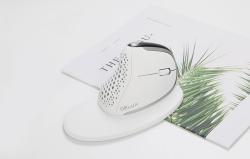 Delux Bezdrátová ergonomická myš M618XSD BT+2.4G RGB (bílá)