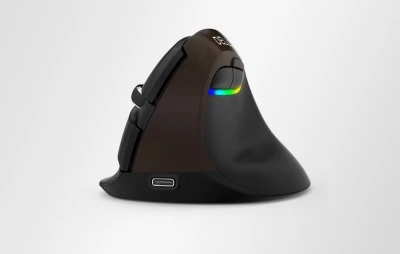Delux M618 Mini zlatá ergonomická bezdrátová myš USB/Bluetooth/2,4 GHz