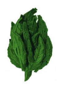 Dentální lístečky Mint JUKO Snacks (40 ks)