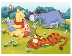 Dino Kubus Medvídek PÚ obrázkové kostky set 12ks