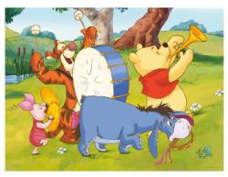 Dino Kubus Medvídek PÚ obrázkové kostky set 12ks