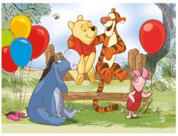 Dino Kubus Medvídek PÚ obrázkové kostky set 12ks