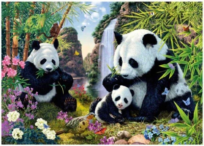 Dino Puzzle 1000 dílků Pandy skrytá tajemství 66x47cm skládačka v krabici