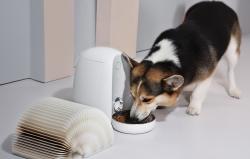 Dogness F05 růžový plastový automatický dávkovač krmiva WIFI mini