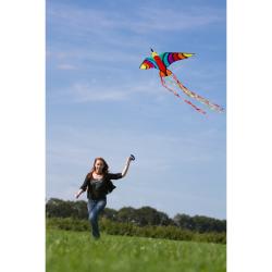 Drak Tropical Bird 150 x 75