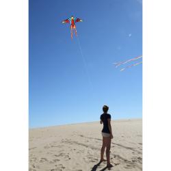 Drak Tropical Bird 150 x 75