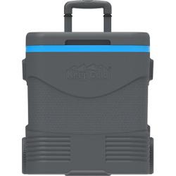 DURAMAX Trolley Chladící box s kolečky COSMOPLAST MDMIBXX121GY