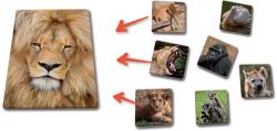 Efko HRA Lototrio Zvířata v ZOO 1 dětské vzdělávací hry