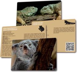 Efko HRA Lototrio Zvířata v ZOO 2 dětské vzdělávací hry