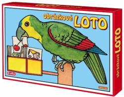 Efko HRA Obrázkové Loto 90 karet Neprakta (společenská hra)