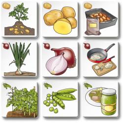 Efko Hra Pexetrio Ovoce a zelenina 36 dílků (společenská hra)