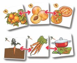 Efko Hra Pexetrio Ovoce a zelenina 36 dílků (společenská hra)