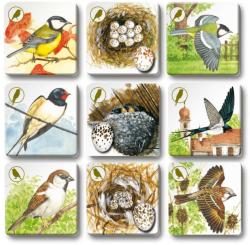 Efko Hra Pexetrio plus Ptáci 54 dílků (společenská hra)