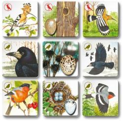 Efko Hra Pexetrio plus Ptáci 54 dílků (společenská hra)