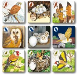 Efko Hra Pexetrio plus Ptáci 54 dílků (společenská hra)