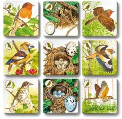 Efko Hra Pexetrio plus Ptáci 54 dílků (společenská hra)