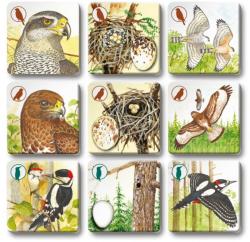 Efko Hra Pexetrio plus Ptáci 54 dílků (společenská hra)