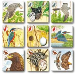 Efko Hra Pexetrio plus Ptáci 54 dílků (společenská hra)