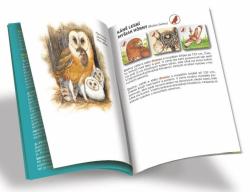 Efko Hra Pexetrio plus Ptáci 54 dílků (společenská hra)