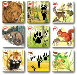 Efko Hra Pexetrio plus Savci 54 dílků (společenská hra)