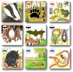 Efko Hra Pexetrio plus Savci 54 dílků (společenská hra)