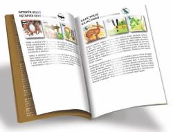 Efko Hra Pexetrio plus Savci 54 dílků (společenská hra)