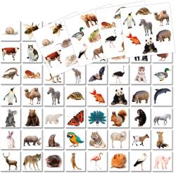 Efko Hry pro předškoláky Hádej, co jsem (společenská hra)