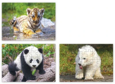 Efko Puzzle 3v1 Mláďátka v ZOO skládačka foto 21x15cm