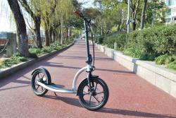 ELJET Elektrická koloběžka Evo16 stříbrná